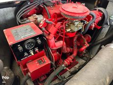1992 Sea Ray 350 Express Bridge