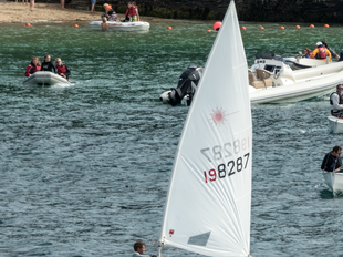 Laser 1 Sail No 198287 - Full Rig