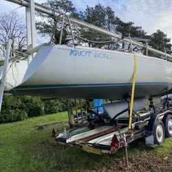 Bargain Buy._ Unwanted racing yacht!