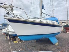 Westerly Konsort (available)