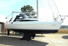Hunter Ranger 265