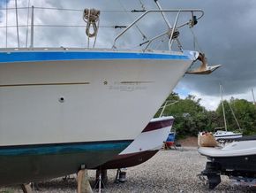 Moody 33 s  - Bow