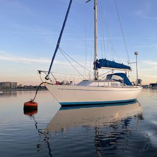 1979 Contessa 28 - 8.5m sloop