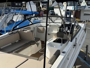 2019 Bayliner  VR6 Cuddy 6
