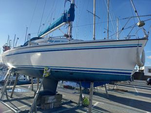 Spring25 racer cruiser