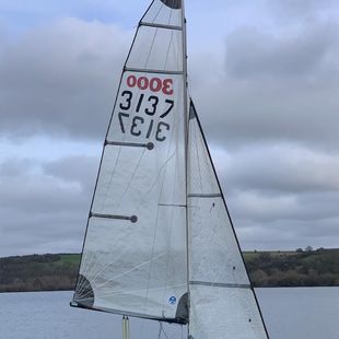 Laser 3000 sail no. 3137