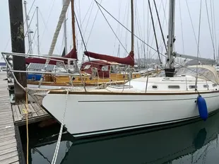 Wauquiez Chance 37