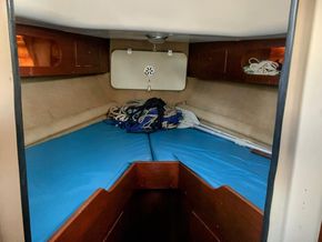 Neptune 33  - Forward Cabin