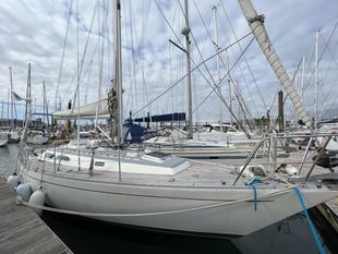 Rustler 36