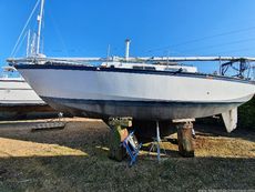 1980 Classic Yacht Classic Kliever 11