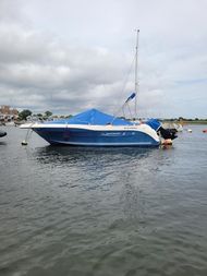 Quicksilver with 115hp Mercury