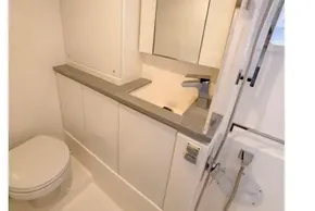 Modern bathroom in a 2020 Leopard 45 yacht, featuring sleek fixtures and ample storage.