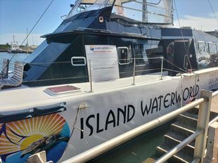 56 ft Day charter cat with jacuzzi 