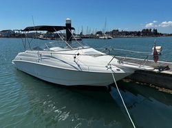Larson 220 Cabrio
