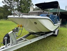 2017 Bayliner Element XR7