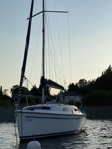 Catalina 250 Sail Boat