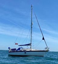 Dolphin 31 sailing yacht