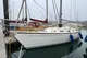 Wauquiez Chance 37