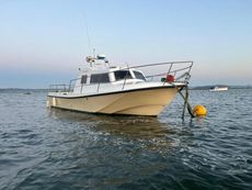Procharter P3 30ft Yanmar 6LP 300hp
