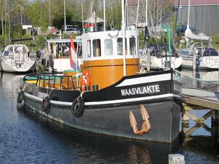 MAASVLAKTE