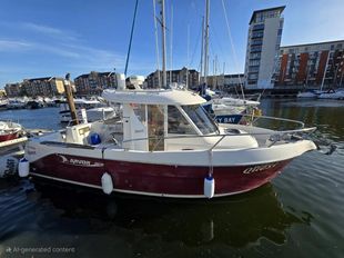 2010 Arvor 280 AS