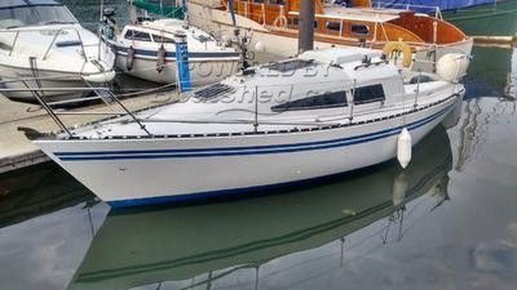 sailboat evolution for sale