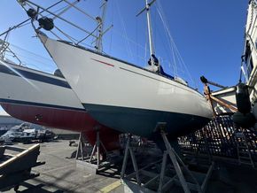 IMG 0177