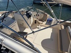 2023 Scout 210 Dorado