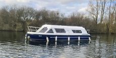 Alpha 31