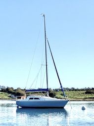 Hunter Delta 25 "Wild Honey" Strangford Lough