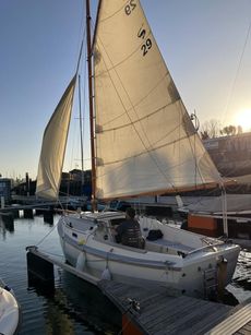 2015 Cornish Crabbers Shrimper 21