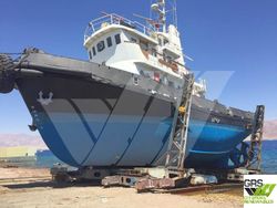 29m Tug for Sale / #1003731