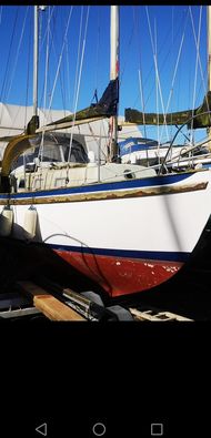 Seadog 30 in N. Ireland 