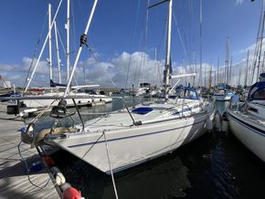 IMG 3506