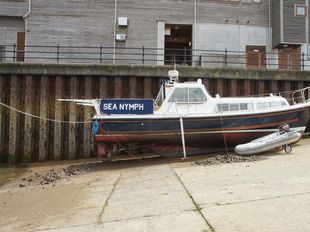 Nelson 34