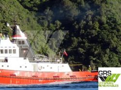 32m / 30ts BP Tug for Sale / #1011050