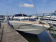 1980 Triana Tropica 25