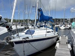 Westerley Oceanquest 35 AC, Osprey