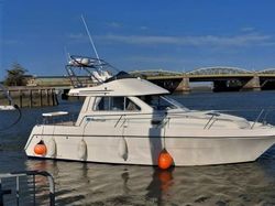 2006 Rodman 970