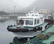 15.5mtr Pilot Boat