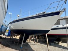 1987 Westerly Falcon 34