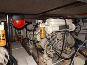 Ocean Alexander 39 P/X considered - Engine