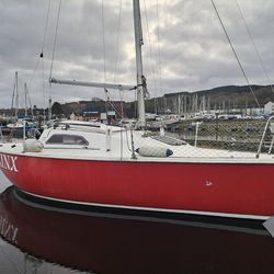 Hunter Sonata 7