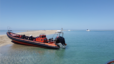 Tornado 10M Super CAT 4 Charter Seafaris 12+2