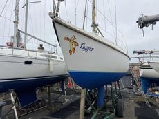 WESTERLY TIGER + YARD TRAILER + DINGHY