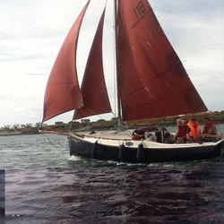 Cape Cutter 19 Trailer Sailor for sale