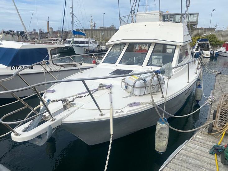 30ft Ace Craft Sports Fisher