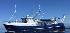 1968 OFFSHORE Guard - Chase - Utility - Support Vessel
