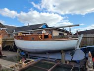 Purbrook Shellduck