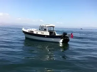 1999 Hardy 20 Pilot